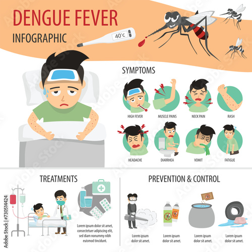 Dengue fever infographic flat. Health care healthcare vector illustration.