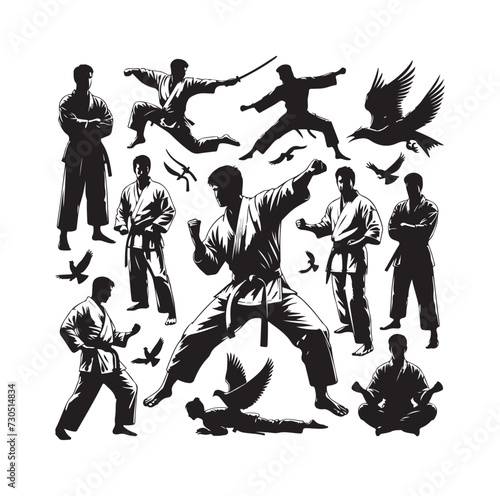 martial art Vector or karate silhouettes vector illustration Japan and  China traditional martial art. self-defense presentation symbols. body poses icons. Karate poses signs