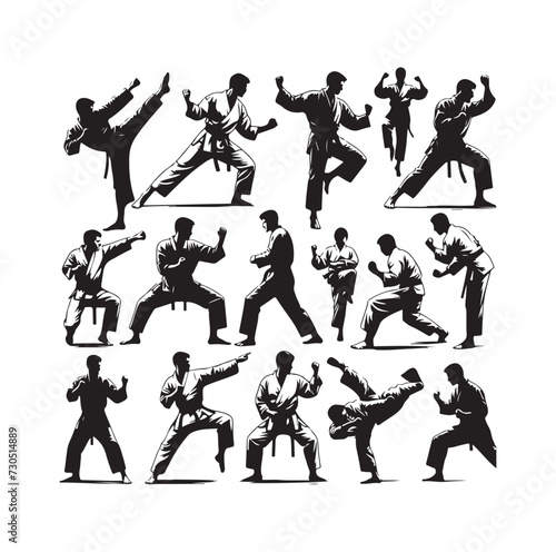 martial art Vector or karate silhouettes vector illustration Japan and  China traditional martial art. self-defense presentation symbols. body poses icons. Karate poses signs