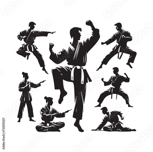 martial art Vector or karate silhouettes vector illustration Japan and  China traditional martial art. self-defense presentation symbols. body poses icons. Karate poses signs