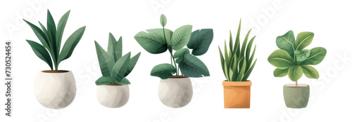 Set of Potted Indoor Plants PNG Cutout