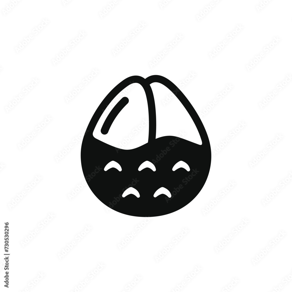 Salak icon isolated on transparent background Salak icon isolated on transparent background