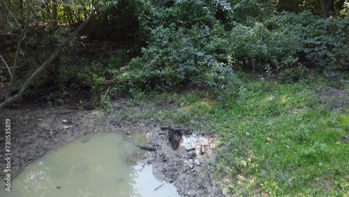 revealing shot brutalist concrete water tower in reflection of a puddle in a muddy forest mosh pit green water photo