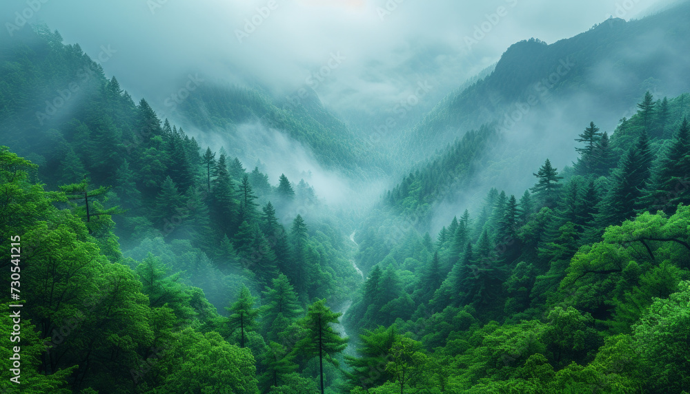 Mystic Mountain Valley Shrouded in Morning Mist - obrazy, fototapety, plakaty 