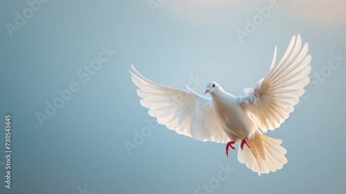 Dove's flight symbolizing peace, against the sky © Veniamin Kraskov