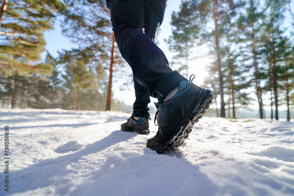 Person walking in winter forest 