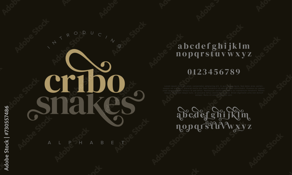 Cribosnakes premium luxury elegant alphabet letters and numbers. Elegant wedding typography classic serif font decorative vintage retro. Creative vector illustration Cribosnakes premium luxury elegant alphabet letters and numbers. Elegant wedding typography classic serif font decorative vintage retro. Creative vector illustration