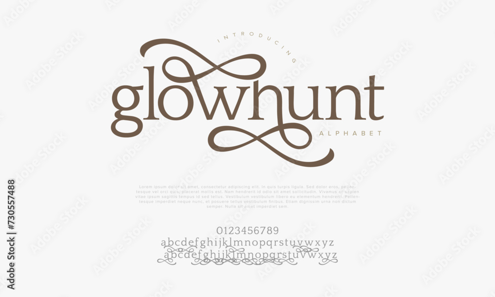 Glowhunt premium luxury elegant alphabet letters and numbers. Elegant wedding typography classic serif font decorative vintage retro. Creative vector illustration