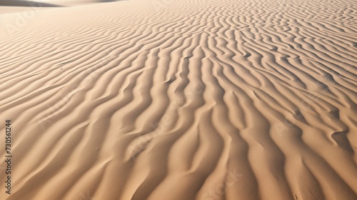Dry sandy soil in a desert landscape.