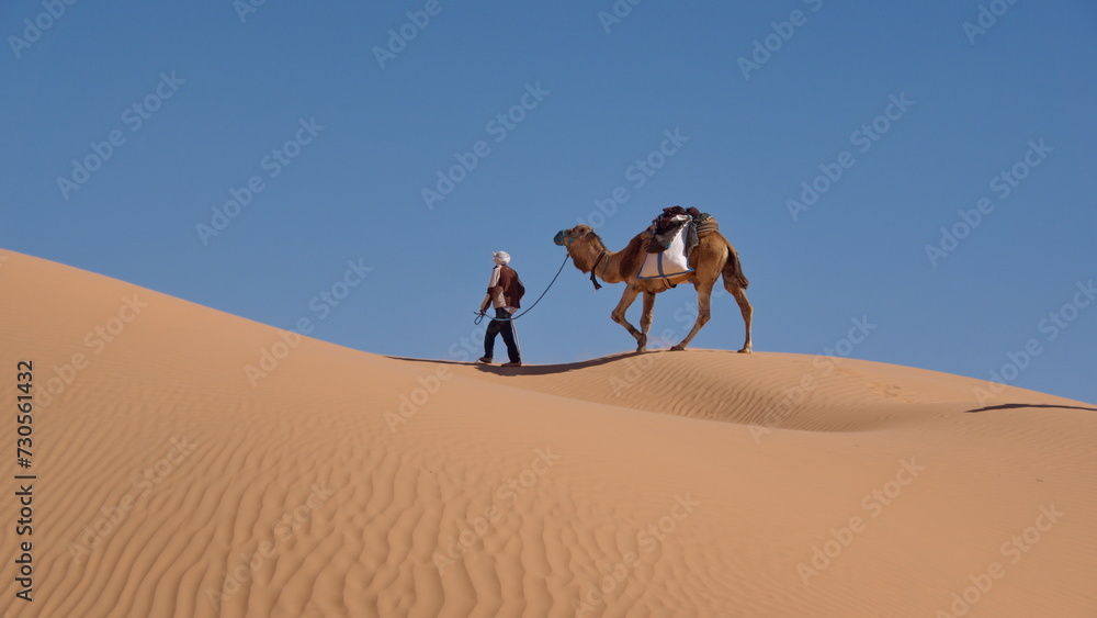 Fototapeta premium Bedouin leading a dromedary camel (Camelus dromedarius) on the top of a dune in the Sahara Desert, outside of Douz, Tunisia