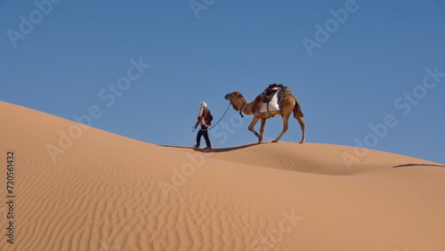 Bedouin leading a dromedary camel  Camelus dromedarius  on the top of a dune in the Sahara Desert  outside of Douz  Tunisia