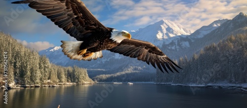 an eagle is flying in the sky with a forest and mountain background