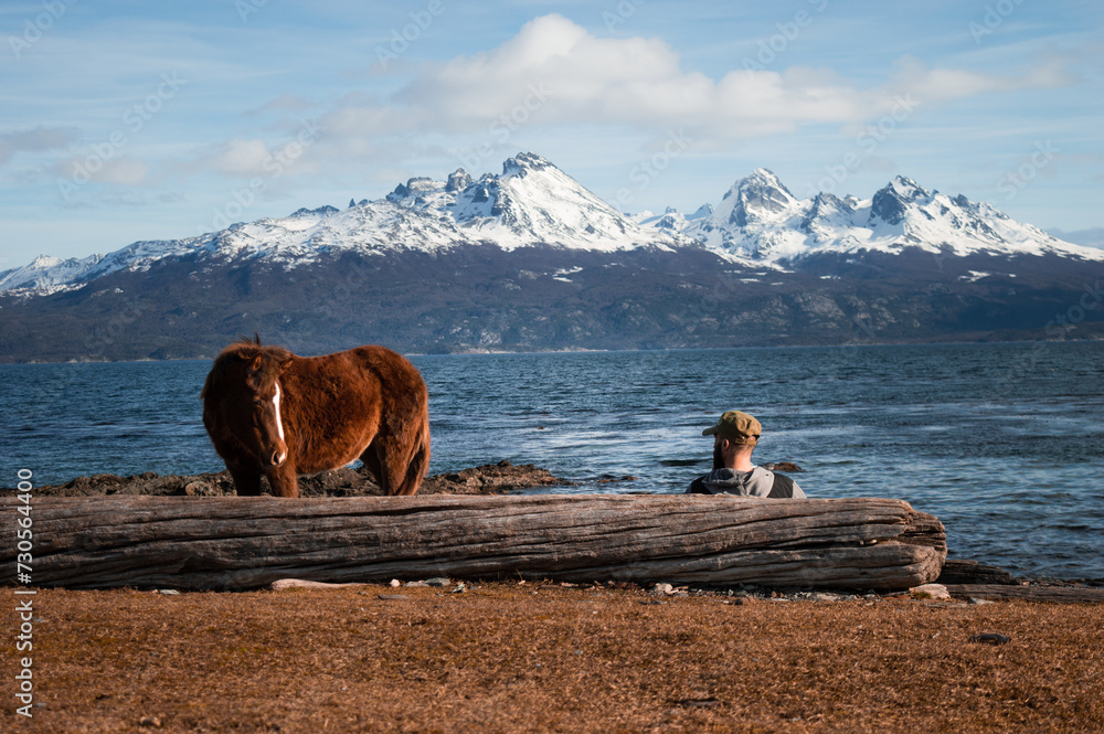 horse watching a man sitting in front of the sea. Andes mountain range in the background. Ushuaia