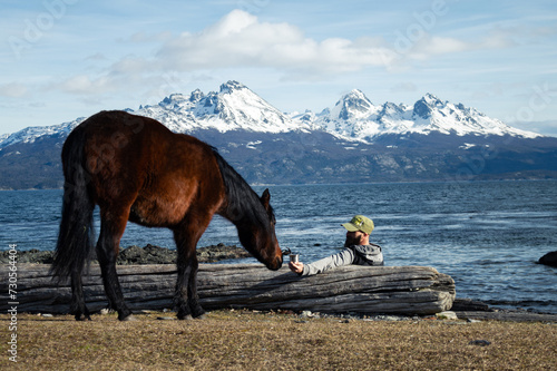 Obraz na płótnie Horse approaching a man who offers him food. Andes mountain range in the background. Ushuaia w salonie