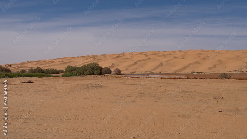 Oasis in the Sahara Desert, outside of Douz, Tunisia Oasis in the Sahara Desert, outside of Douz, Tunisia