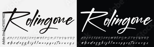 signature Font Calligraphy Logotype Script Brush Font Type Font lettering handwritten