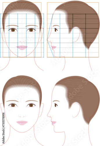 可愛い印象の女性の横顔と正面の顔。顔の比率のベクターイラスト