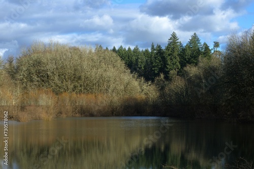 River through a woodland area on a partially cloudy day, with pine trees in the background and bare trees in the middle. 