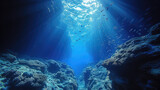 Investigating Ocean Current Anomalies in Marine Biology