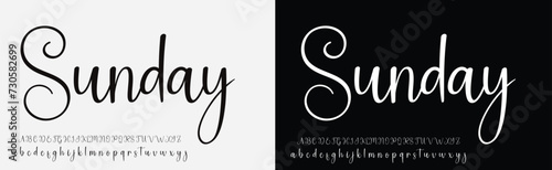 signature Font Calligraphy Logotype Script Brush Font Type Font lettering handwritten