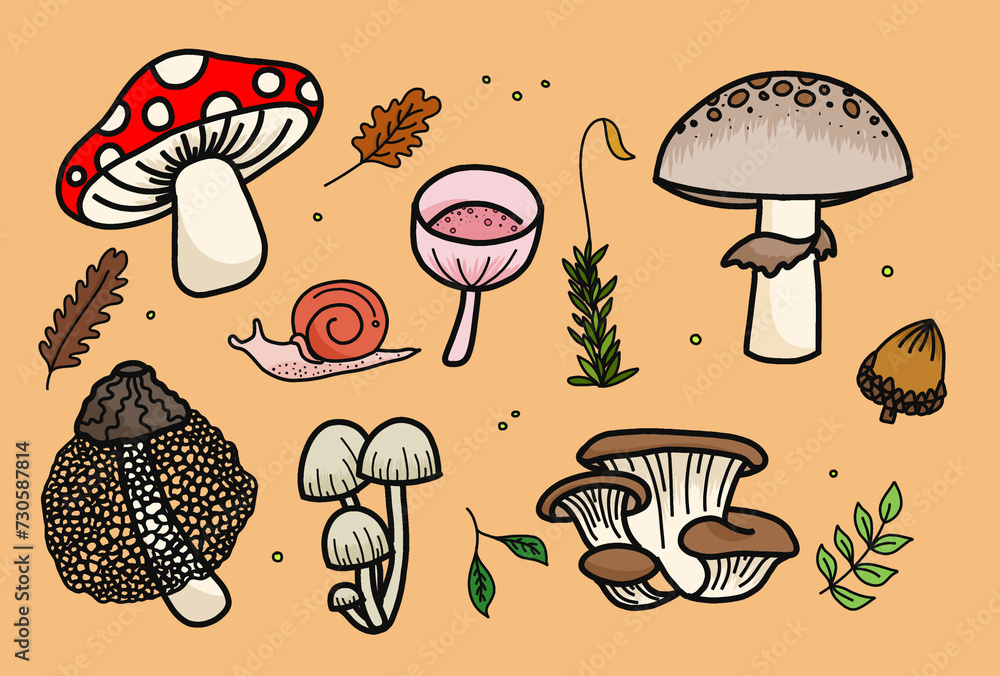 set of mushrooms set of mushrooms