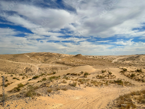 Desert view 