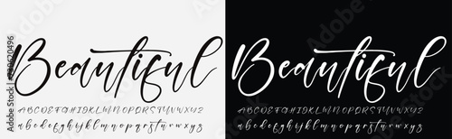 Signature Font Calligraphy Logotype Script Brush Font Type Font lettering handwritten