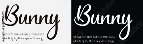 Signature Font Calligraphy Logotype Script Brush Font Type Font lettering handwritten