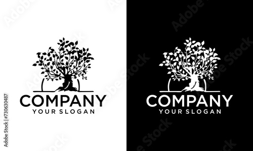 Creative Sun tree logo icon template design. Round garden plant natural line symbol. Green branch with leaves business sign. Vector illustration.