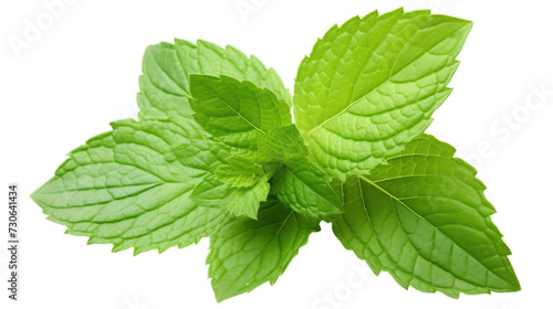 Fresh mint leaves isolated on transparent background, Generative ai.