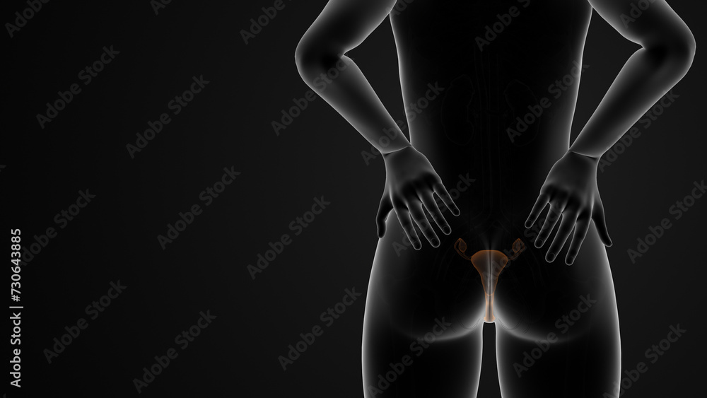 Naklejka premium Back pain during menstruation cycle or dysmenorrhea