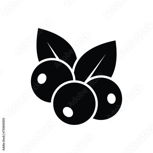 black berry icon vector design template simple and clean