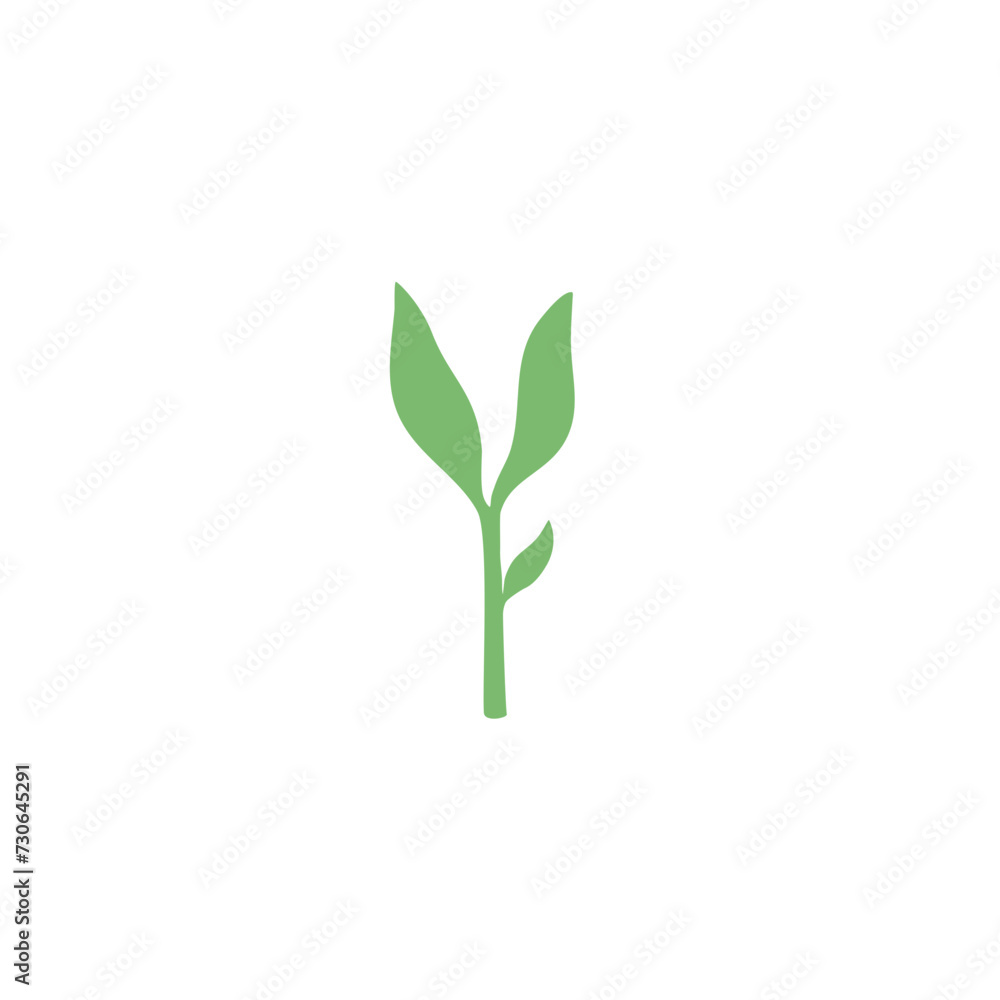 Fototapeta premium Green Tea leaves vektor 