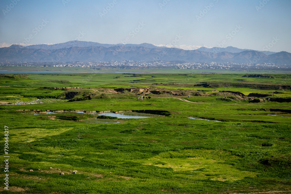Green land and mountains in background