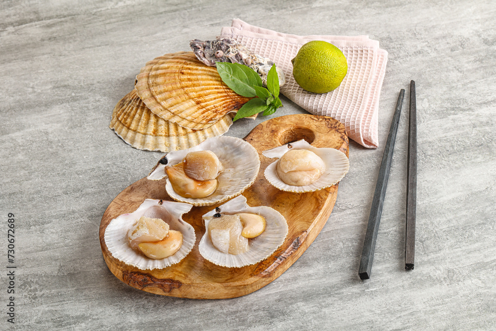 Raw natural scallop in its shell Raw natural scallop in its shell