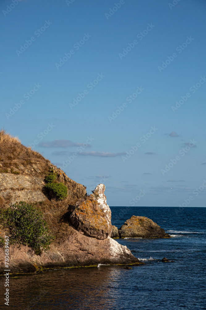 Cape with rocks and trees