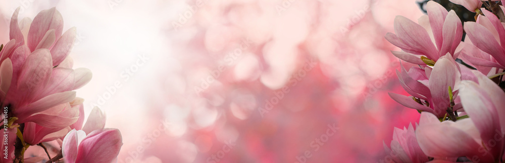 Closeup of flower on background border with bokeh glitter. Pink spring and summer background
