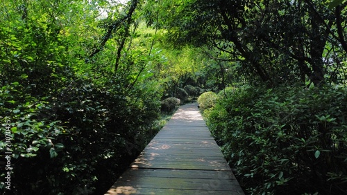 Green environment, shot in a park