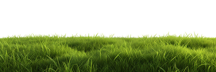green grass meadow outdoor 3d-illustration