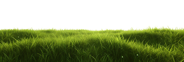 green grass meadow outdoor 3d-illustration