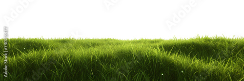 green grass meadow outdoor 3d-illustration photo
