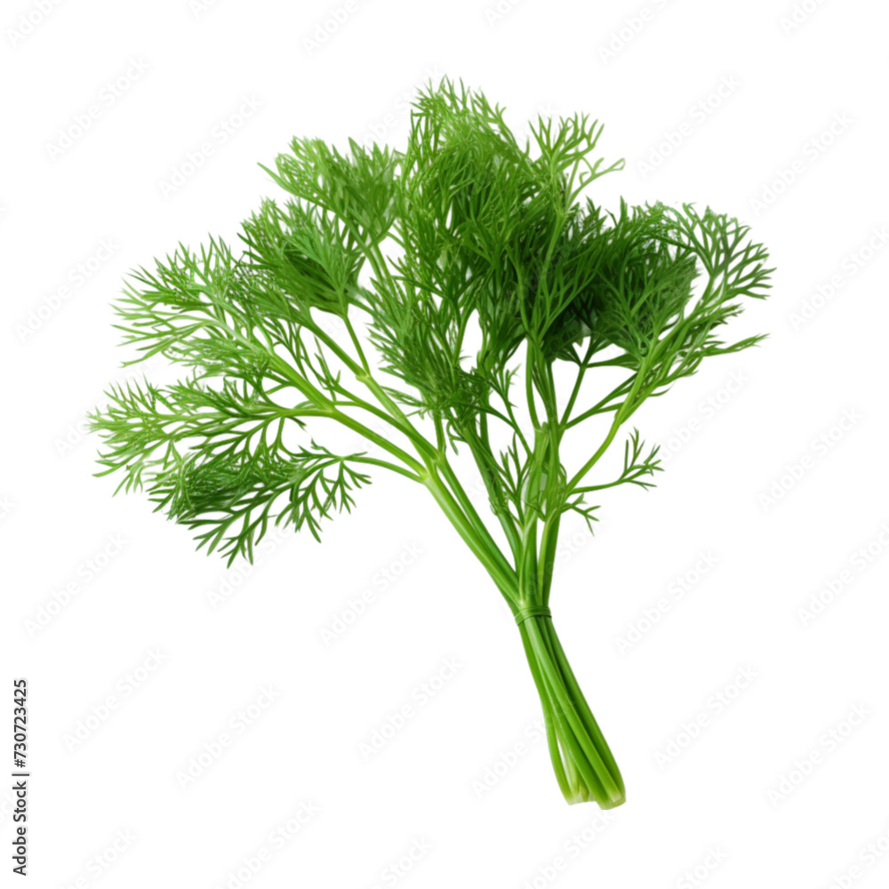 isolated dill on a white background with clipping path. isolated dill on a white background with clipping path.