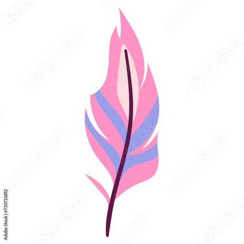 feather illustration with beautiful vector pattern