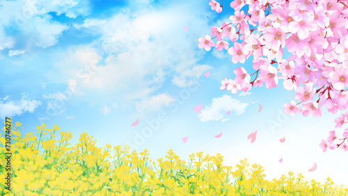 Cuadro en lienzo 桜と菜の花　背景素材　水彩画　飾り枠　桜吹雪　野原　春イメージ　春の花　お花見　入学　卒業　入園　卒園　入社　新学期　新生活　16:9