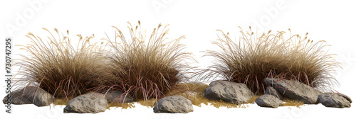 Isolate savanna dry grass meadow shrubs with rocks on transparent backgrounds 3d render png photo