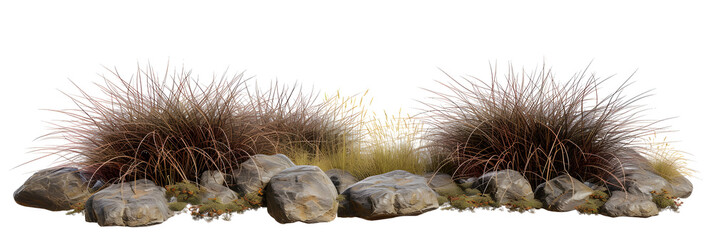 Isolate savanna dry grass meadow shrubs with rocks on transparent backgrounds 3d render png