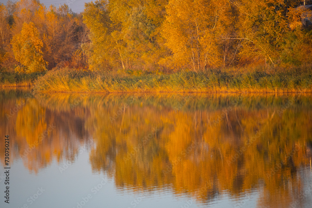 Obraz premium glare and reflections on the water. the sky is reflected in the water. Background of waves, reflections, refractions and abstract diffractions, in the blue, clean and crystalline water. trees are refl