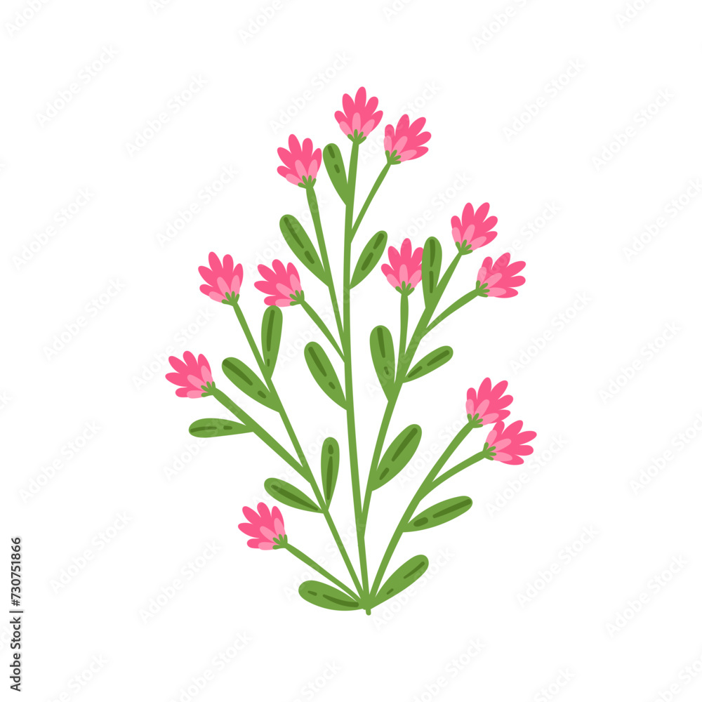 vector flower object illustration