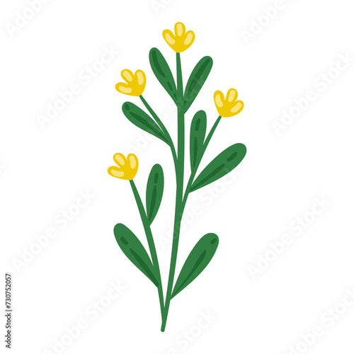 Fototapeta Naklejka Na Ścianę i Meble -  vector flower object illustration