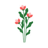 vector flower object illustration